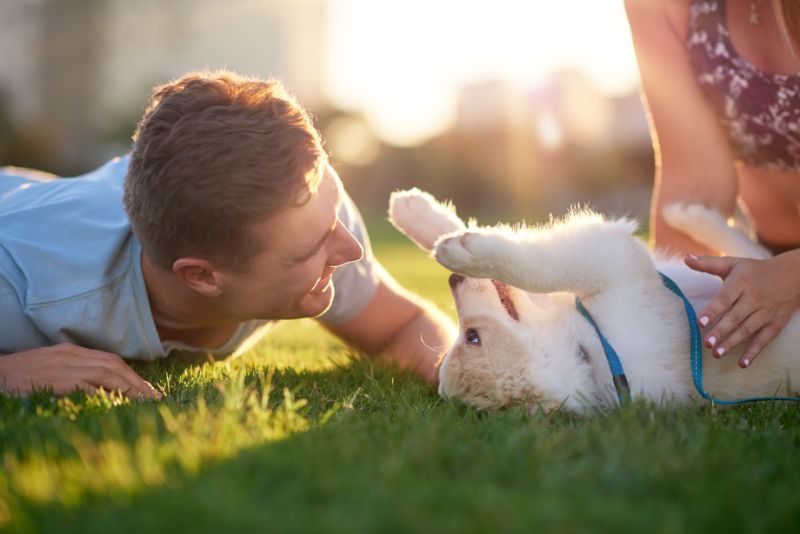Adopt and Rescue the Perfect Dog and Get a Friend for Life